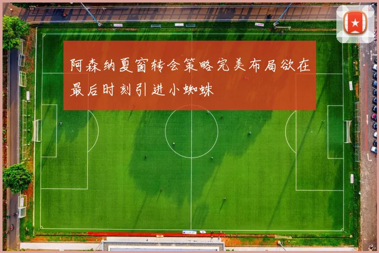 阿森纳夏窗转会策略完美布局欲在最后时刻引进小蜘蛛